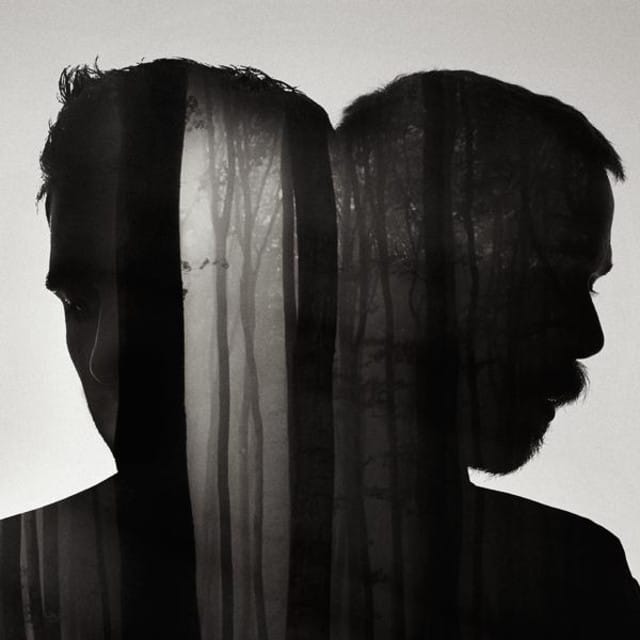 Pleasure - Back To You (feat. Brett Anderson)