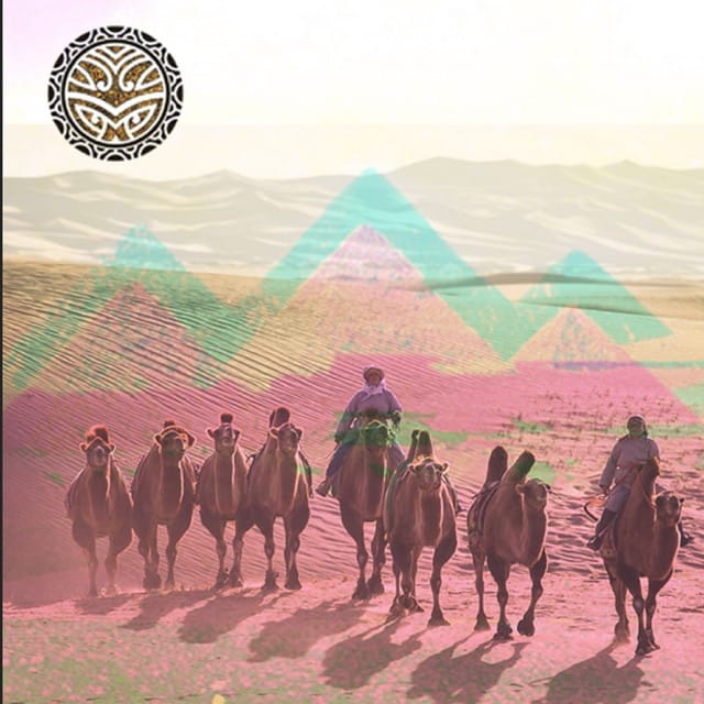 Walking Vertical (Original Mix)
