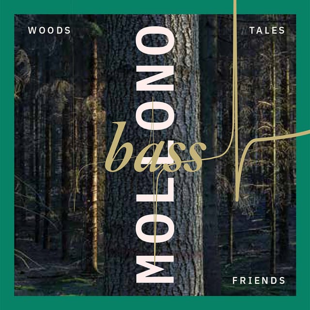 No Silence (Feat. Kuoko)