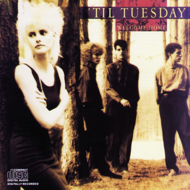 'Til Tuesday - What About Love