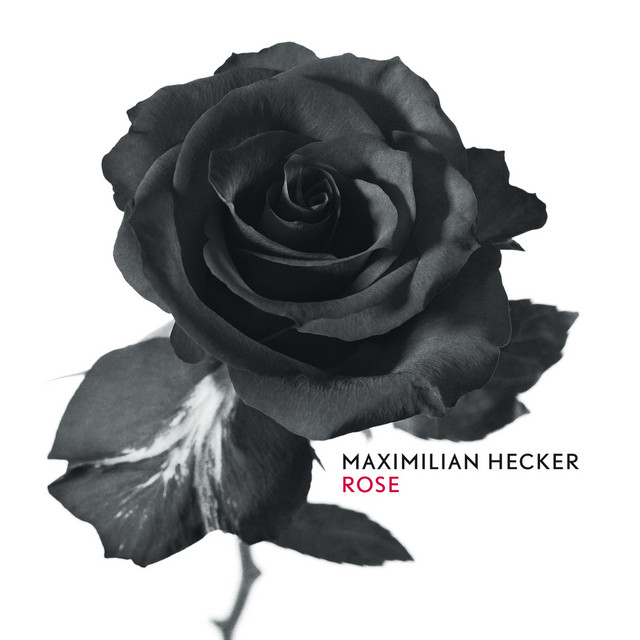 Maximilian Hecker - my love for you is insane