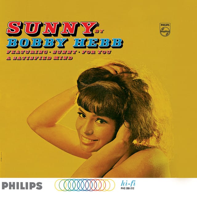 Sunny (PillowTalk Remix)