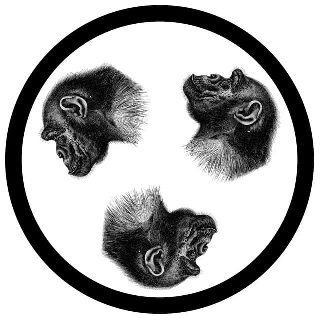 Searchin' (Atjazz Remix)