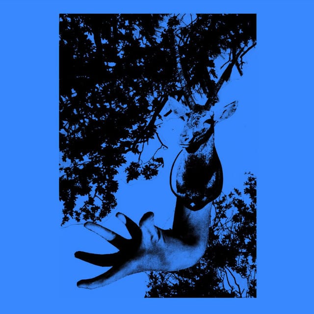 Shelter (Elegia's Shelter Remix)
