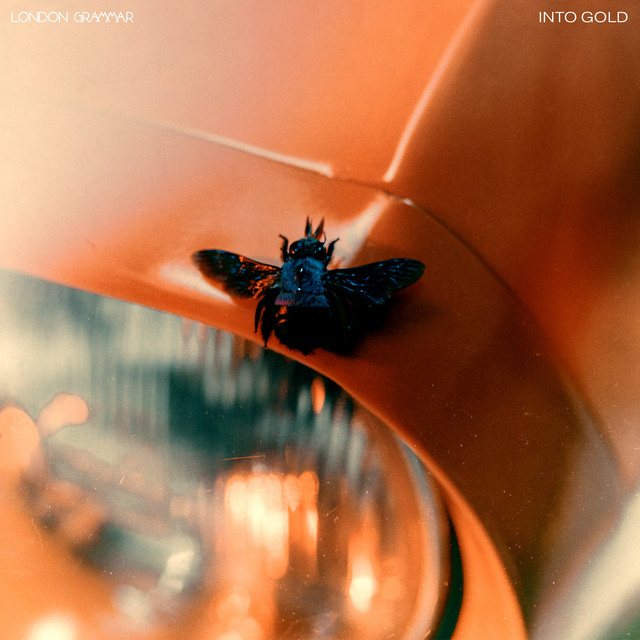 Into Gold (Kitty Amor Remix)