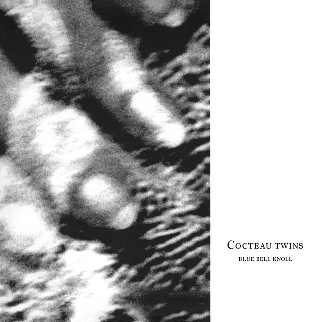 Carolyn's Fingers