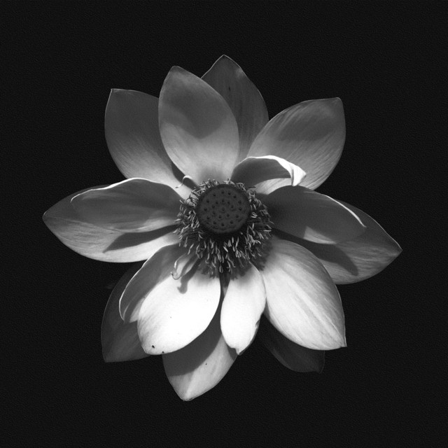 Key To Life (Ambassadeurs Mix)